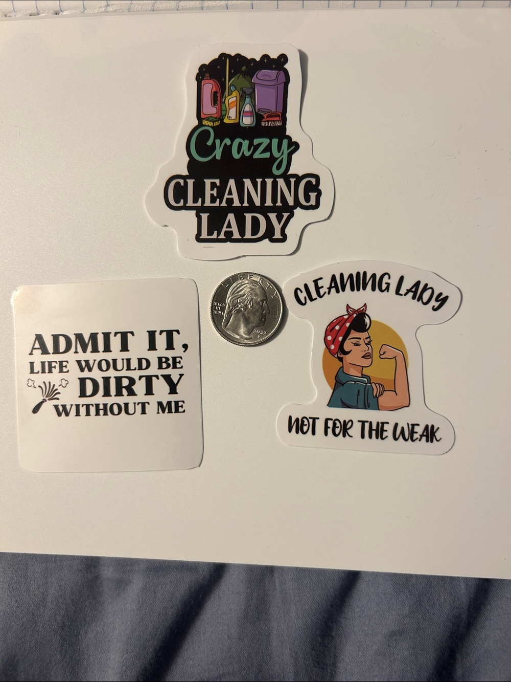 Cleaning Lady Sticker Pack - Multicolor